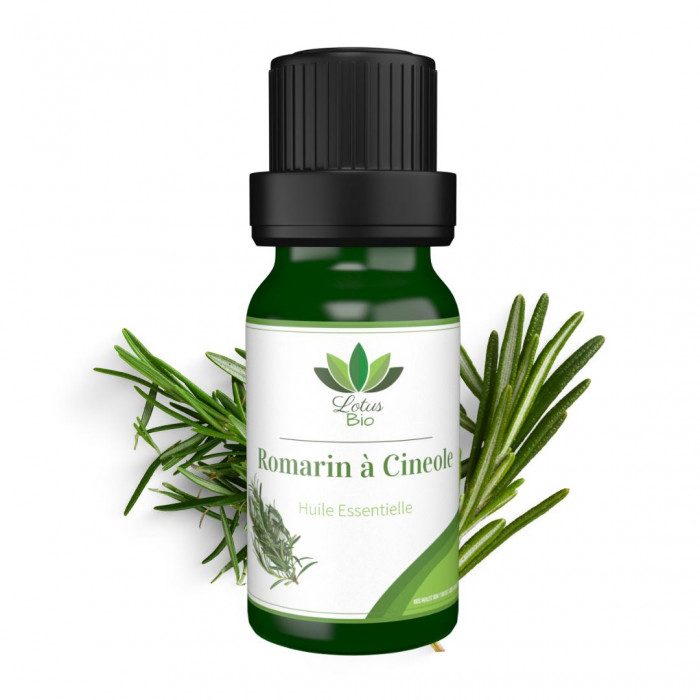 lotus-bio-huile-essentielle-de-romarin-a-cineole-10-ml.jpg LOTUS BIO HUILE ESSENTIELLE DE ROMARIN A CINEOLE 10 ML – Image 1