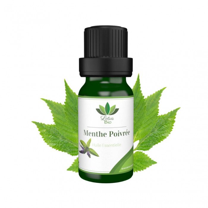 lotus-bio-lotus-bio-huile-essentielle-de-menthe-poivree-huiles-essentielles.jpg LOTUS BIO HUILE ESSENTIELLE DE MENTHE POIVREE – Image 1