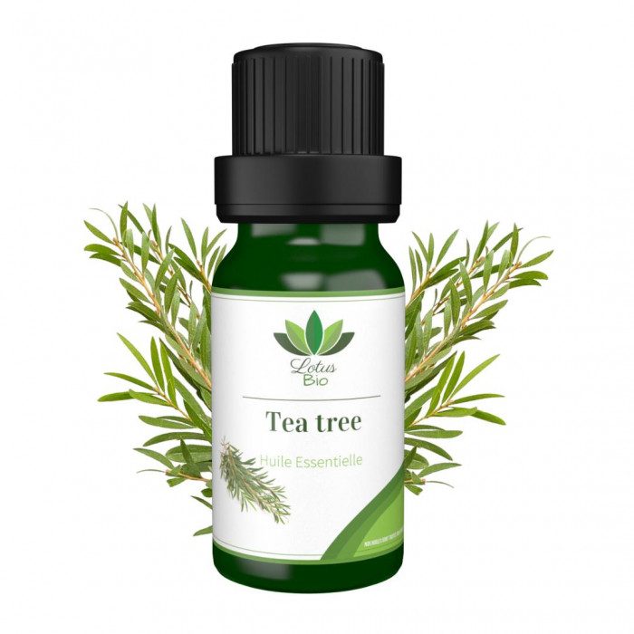 lotus-bio-lotus-bio-huile-essentielle-de-tea-tree-huiles-essentielles.jpg LOTUS BIO HUILE ESSENTIELLE DE TEA TREE – Image 1