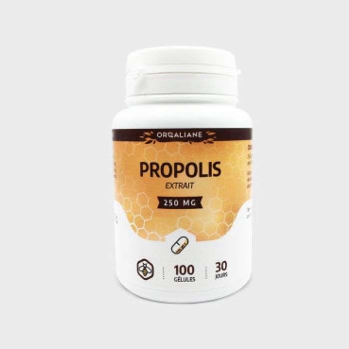 gph-diffusion-gph-propolis-250-mg-100-gelules-complements-alimentaires.jpg GPH PROPOLIS 250 MG 100 GELULES – Image 1