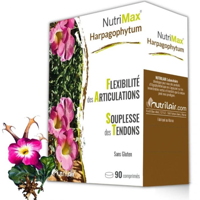 nutrimax-nutrimax-harpagophytum-90-comprimes-articulations-et-crampes.jpg NUTRIMAX harpagophytum 90 comprimés – Image 1